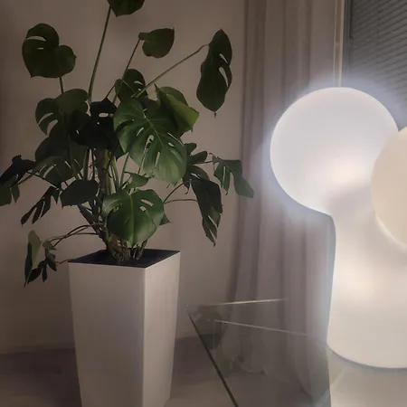 Gran Palmu, Yyteri Πόρι